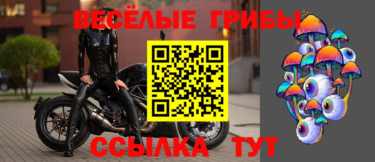 Галлюциногенные грибы Psilocybe  Вход с VPN  Похвистнево  Галлюциногенные грибы Psilocybe 