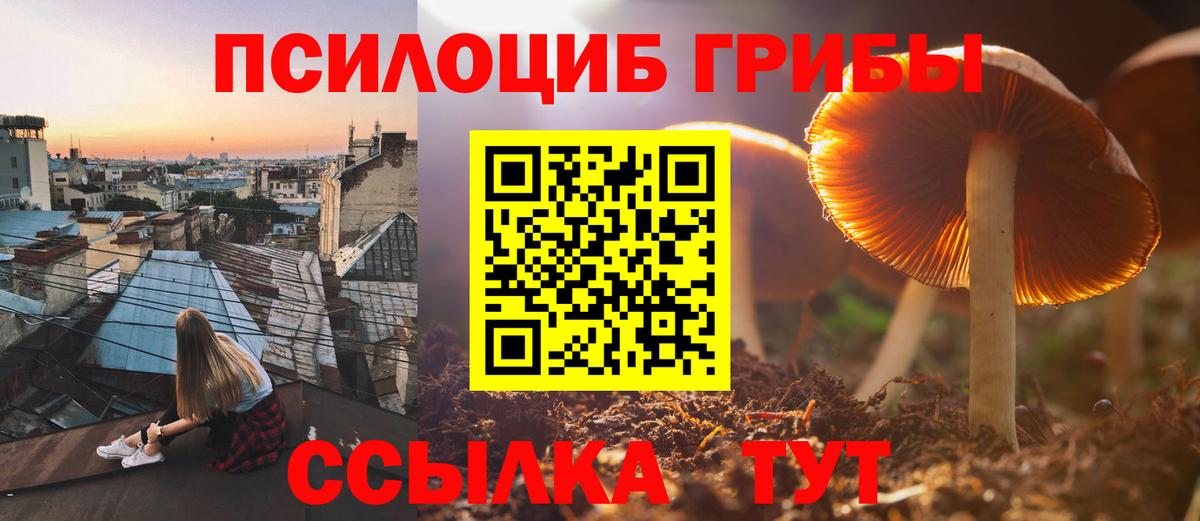 Псилоцибиновые грибы мицелий Похвистнево